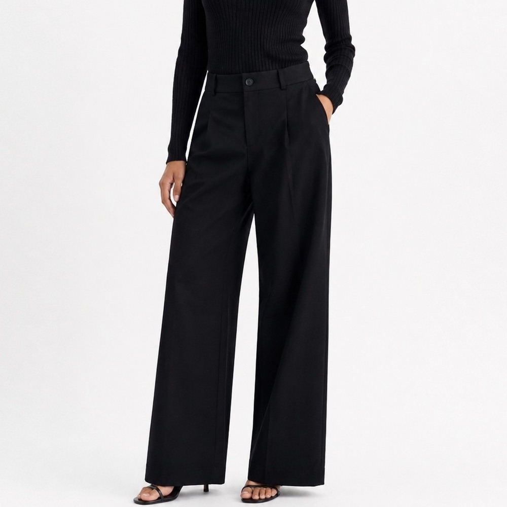 Everlane Wide Leg Trouser Black Lyocell Organic Cotton High Rise Pants 2R NWOT